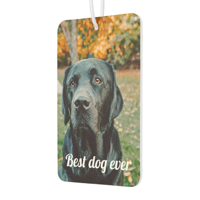 Photo and Text Custom Personalised Car Air Freshener (Left)