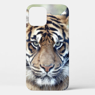 Photo  , animals , tiger , tigre . Case-Mate iPhon iPhone 12 Pro Case