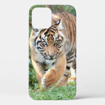 Photo  , animals , tiger , tigre . Case-Mate iPhon