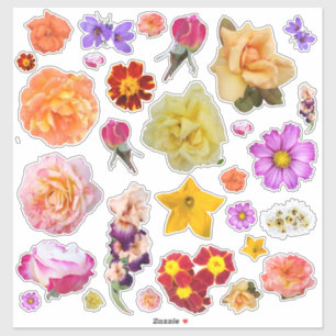 Photo Assortment Colourful Flowers Custom Stickers
