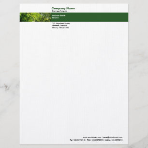 Photo Band - Trees Personalized Letterhead