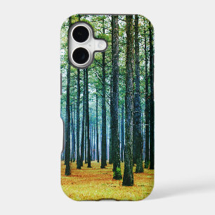 Photo Beautiful Pine Tree Forest Yellow Grass