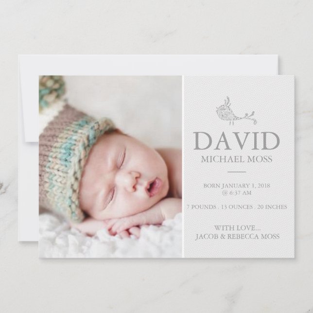 Photo Birth Announcement | Bird Announcer (Front)