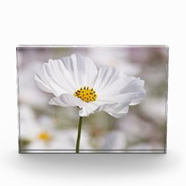 Photo Block. (Front)