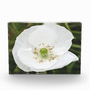 Photo block with flowers