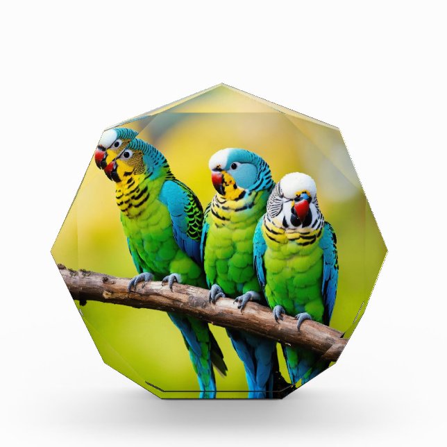 Photo Blocks (Front)