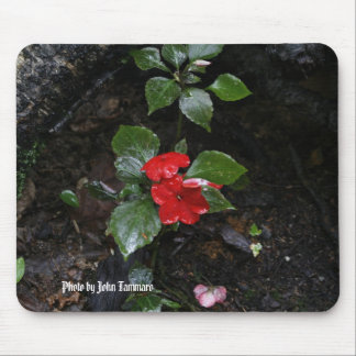 Photo by John Tammaro Mouse Mat