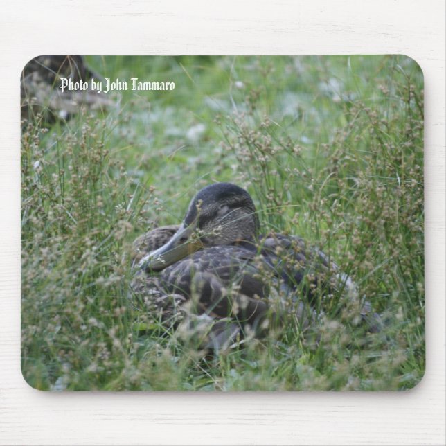 Photo by John Tammaro Mouse Mat (Front)