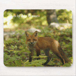 Photo by John Tammaro Mouse Mat