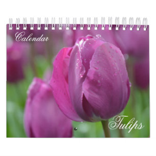 Photo Calendar Tulips