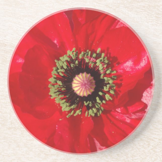 Photo California Red Poppy flower  Coaster (Front)