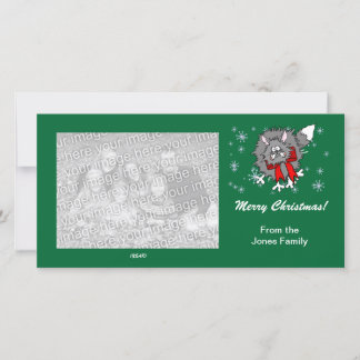 Photo Card - Christmas Crazy Cat