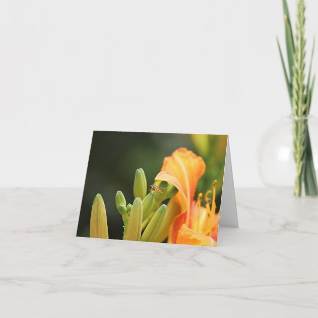 Photo card, hoverfly on orange lily invitation (Front)