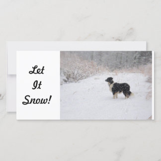 photo card - Let It Snow!
