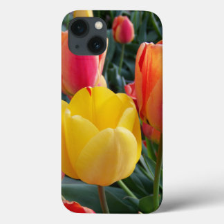 Photo iPhone 13 Case