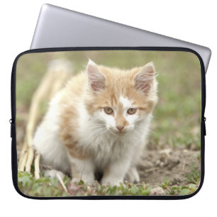 Photo cat , animals laptop cases . 