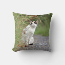 Photo cat , animals . throw pillow