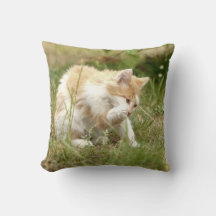 Photo cat , animals . throw pillow