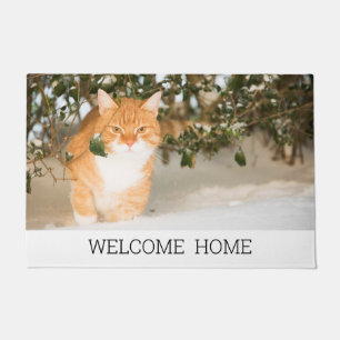 Photo cat kitten welcome home family doormat