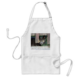 Photo cat , pet , animals 0008. standard apron