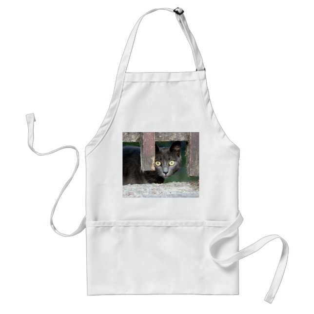 Photo cat , pet , animals 0008. standard apron (Front)