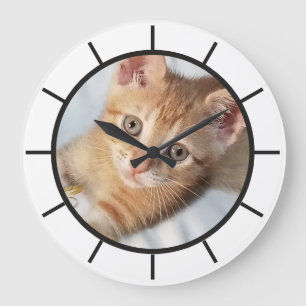 Photo. Cat, Text, replaceable, Funny Large Clock
