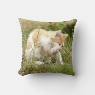 Photo chat , cat , animals . throw pillow
