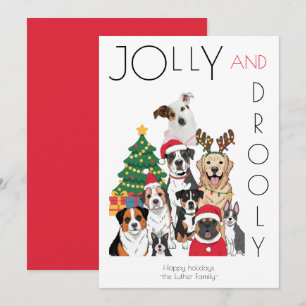 Photo Christmas Tree Funny Pet Holiday Card