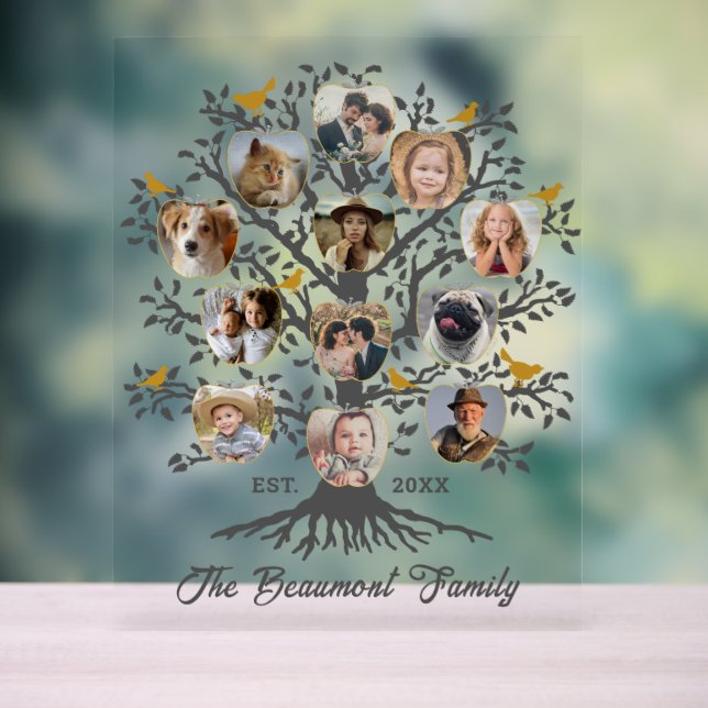 Photo Collage 12 Family Tree Custom Name and Date Acrylic Sign (Neutral)