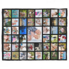 Photo Collage 45 Pics Editable Colour Personalised