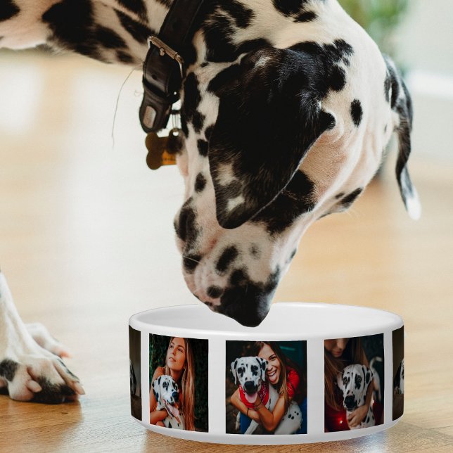 Photo Collage Cat Dog Family Pet Photomontage Bowl (family pet photo collage pet bowl)