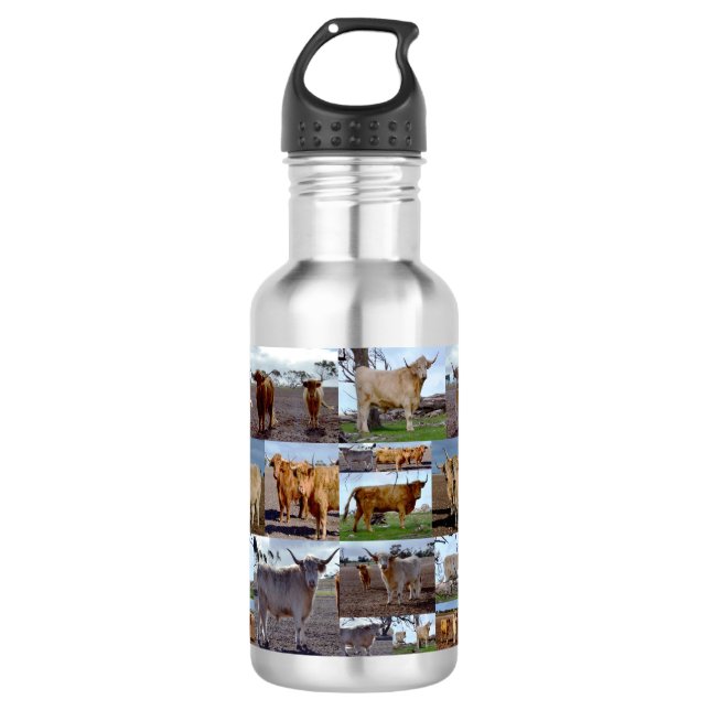 Photo Collage Of Highland Cows, Water Bottle (Front)