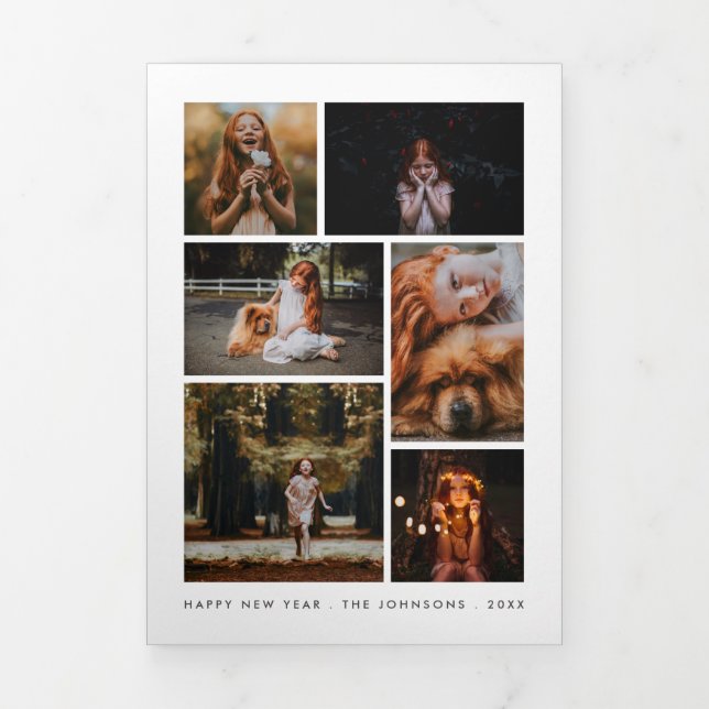 Photo Collage Personalised New Year Newsletter Tri-Fold Holiday Card (Cover)
