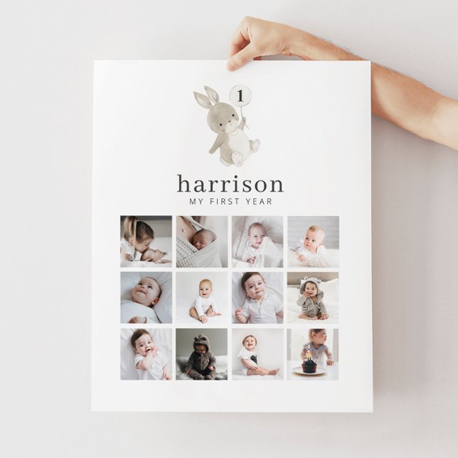 Photo Collage Poster - Bunny Balloon (Creator Uploaded)