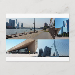 Photo collage Rotterdam 4 Postcard