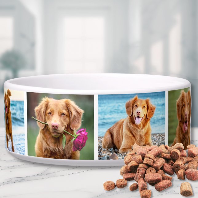 Photo Collage Simple Elegant Picture Pet Bowl (Photo Collage Simple Elegant Picture Bowl)