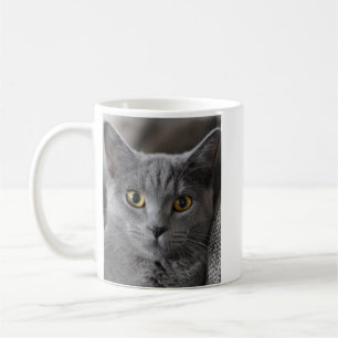 PHOTO CUSTOM COFFEE CAT PET MUG