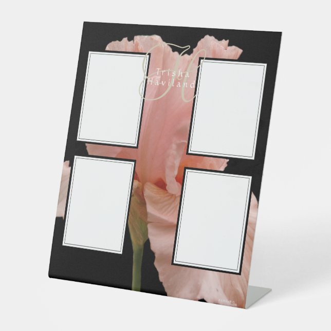 Photo Display - HAMbyWG - Pink Iris Pedestal Sign (Front)