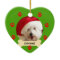 Photo Dog Christmas Ornament