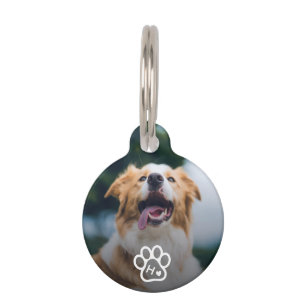 Photo Dog Pets Monogram Contact Qr Code Pet Tag