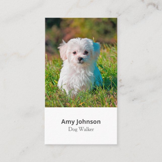 Photo Dog Walker Business Card (Front)