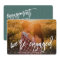 Photo Engagement Announcement & Party Invitation