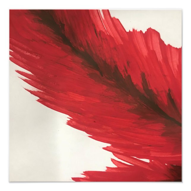 Photo enlarged (Front)