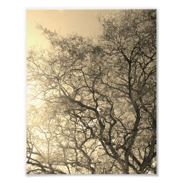 Photo Enlargement Print (Front)