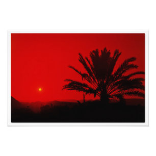 Photo Enlargement Print