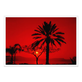 Photo Enlargement Print
