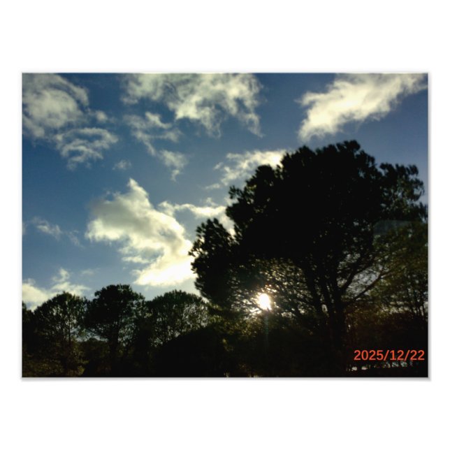 Photo Enlargement Print (Front)