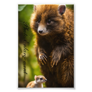 Photo Enlargement Print