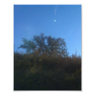 Photo Enlargement Print