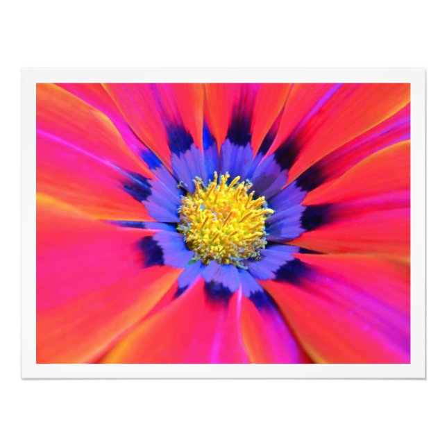 Photo Enlargement Print (Front)